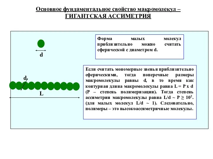 Основное фундаментальное свойство макромолекул – ГИГАНТСКАЯ АССИМЕТРИЯ