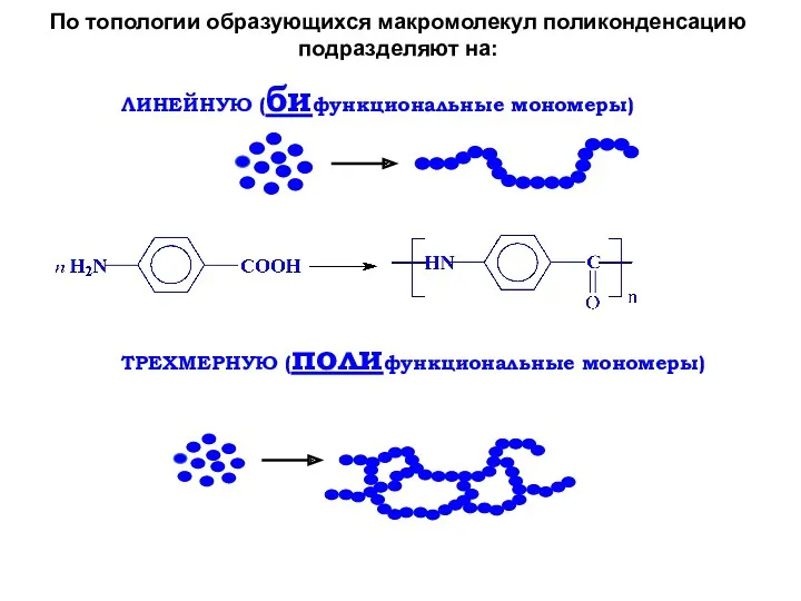 По топологии образующихся макромолекул поликонденсацию подразделяют на: ЛИНЕЙНУЮ (бифункциональные мономеры) ТРЕХМЕРНУЮ (полифункциональные мономеры)