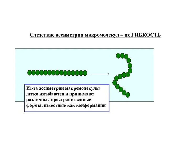 Из-за ассиметрии макромолекулы легко изгибаются и принимают различные пространственные формы,