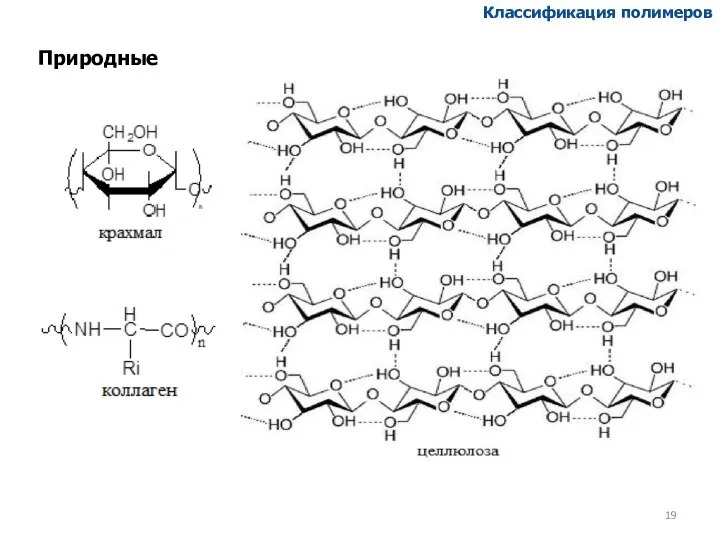 Природные Классификация полимеров