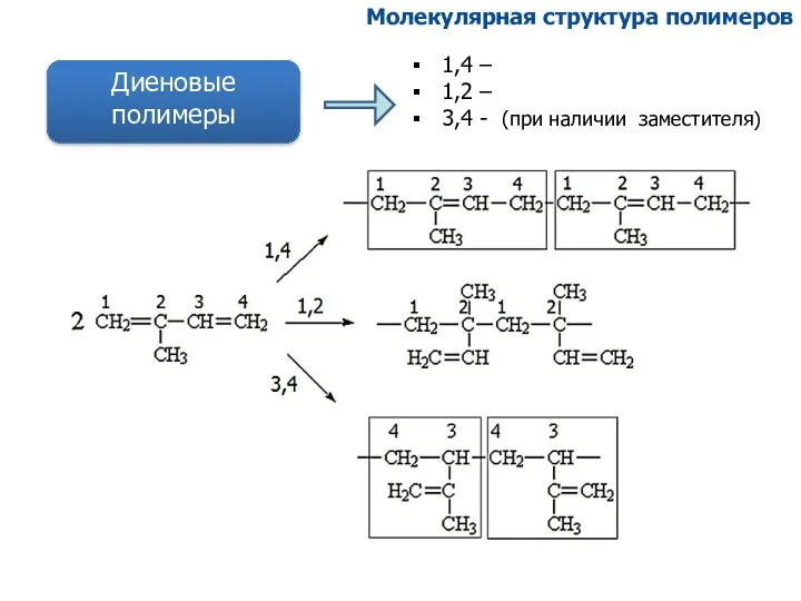 Диеновые полимеры 1,4 – 1,2 – 3,4 - (при наличии заместителя) Молекулярная структура полимеров