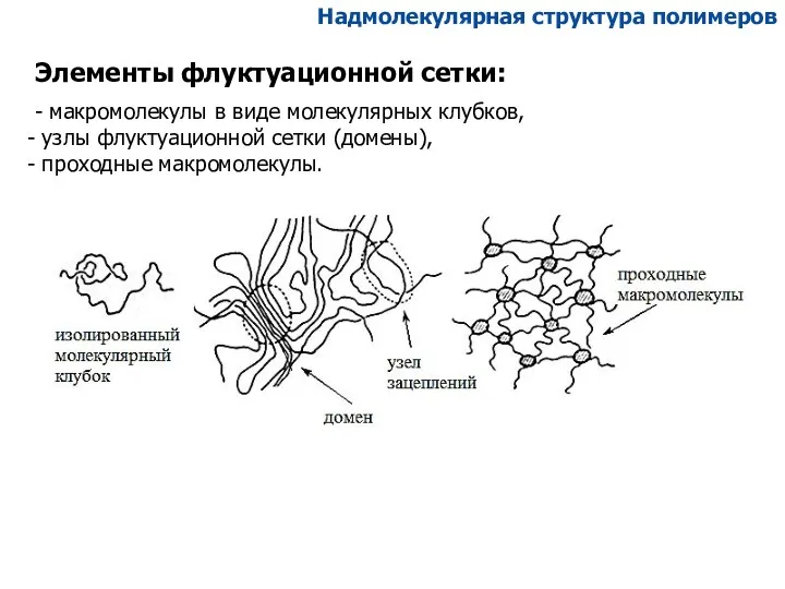 Элементы флуктуационной сетки: - макромолекулы в виде молекулярных клубков, узлы