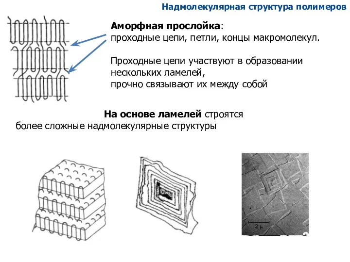 Аморфная прослойка: проходные цепи, петли, концы макромолекул. Проходные цепи участвуют