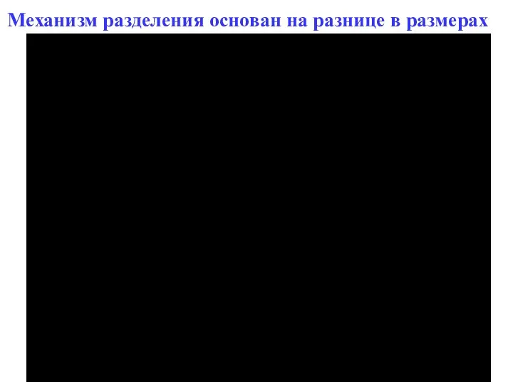 Механизм разделения основан на разнице в размерах