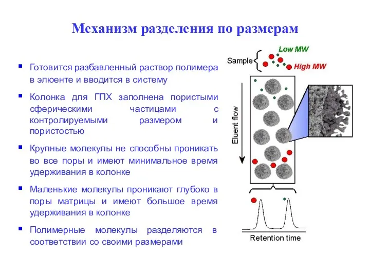 Механизм разделения по размерам Готовится разбавленный раствор полимера в элюенте