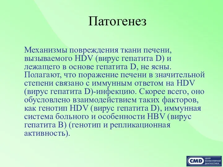 Патогенез Механизмы повреждения ткани печени, вызываемого HDV (вирус гепатита D)