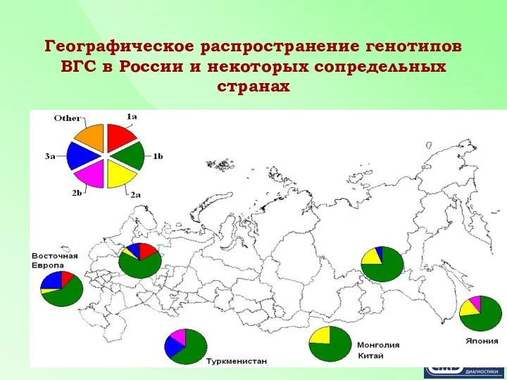 Географическое распространение генотипов ВГС в России и некоторых сопредельных странах