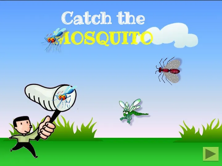 Catch the MOSQUITO