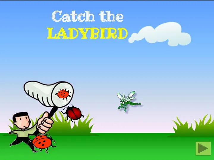 Catch the LADYBIRD