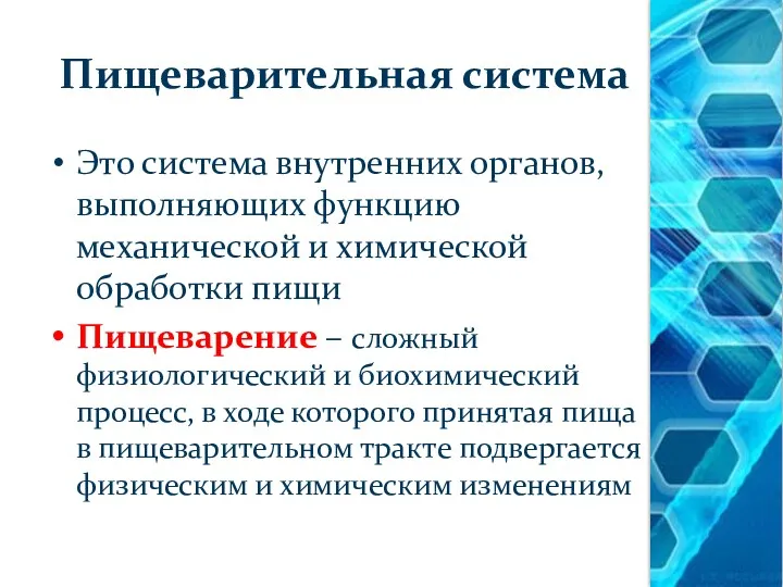 Пищеварительная система Это система внутренних органов, выполняющих функцию механической и