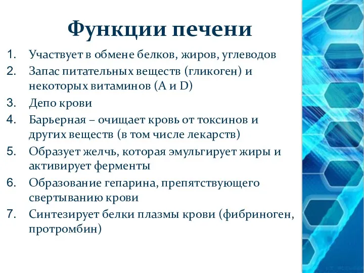 Функции печени Участвует в обмене белков, жиров, углеводов Запас питательных