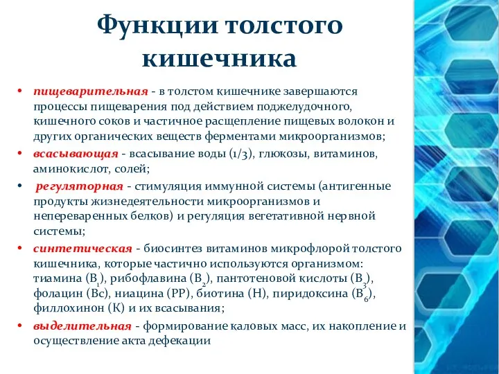 Функции толстого кишечника пищеварительная - в толстом кишечнике завершаются процессы