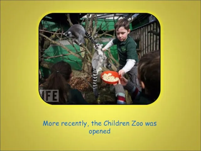 More recently, the Children Zoo was opened