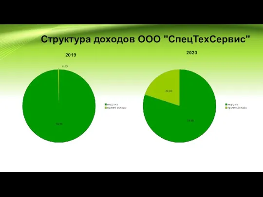 Структура доходов ООО "СпецТехСервис"