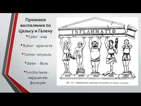 Признаки воспаления по Цельсу и Галену Calor - жар Rubor