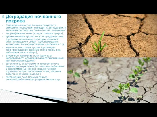 Деградация почвенного покрова Ухудшение качества почвы в результате снижения плодородия приводит к деградации.