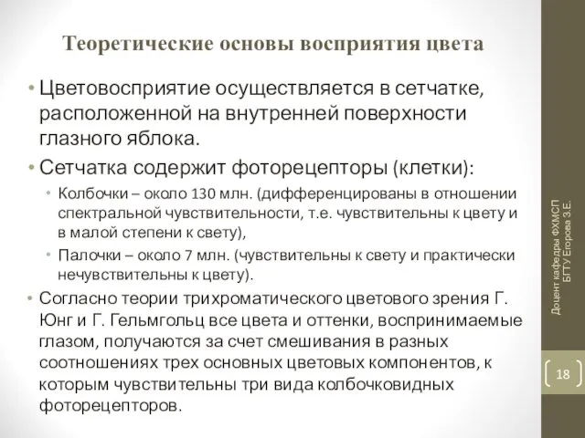 Теоретические основы восприятия цвета Цветовосприятие осуществляется в сетчатке, расположенной на