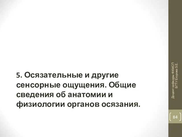 5. Осязательные и другие сенсорные ощущения. Общие сведения об анатомии