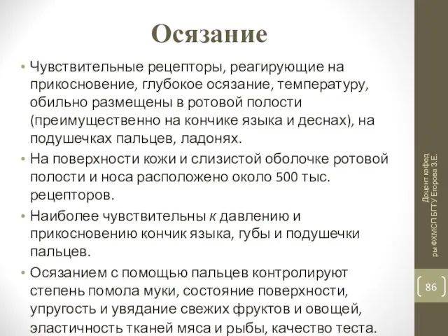 Осязание Чувствительные рецепторы, реагирующие на прикосновение, глубокое осязание, температуру, обильно