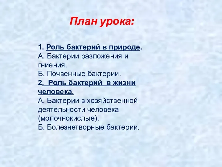 План урока: 1. Роль бактерий в природе. А. Бактерии разложения