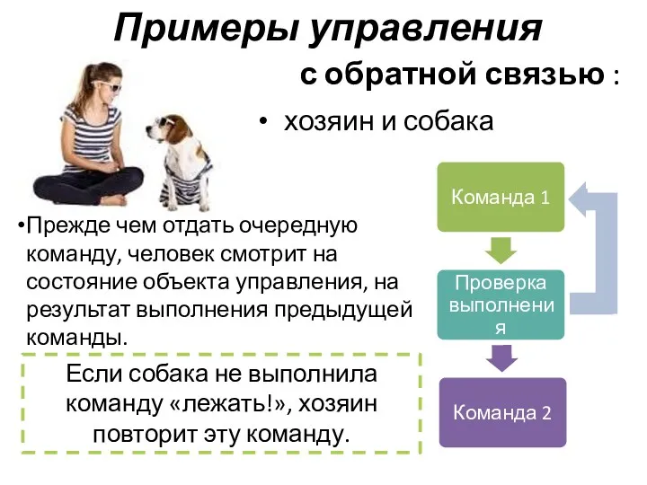 Примеры управления с обратной связью : хозяин и собака Прежде