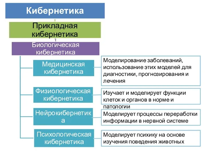 Моделирование заболеваний, использование этих моделей для диагностики, прогнозирования и лечения