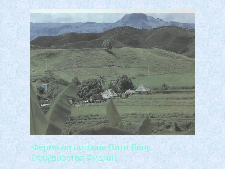 Ферма на острове Вити-Леву. (государство Фиджи).