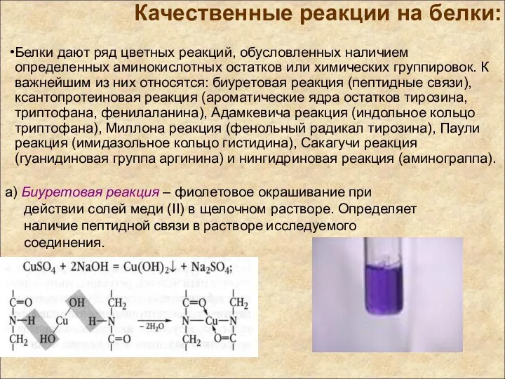 a) Биуретовая реакция – фиолетовое окрашивание при действии солей меди