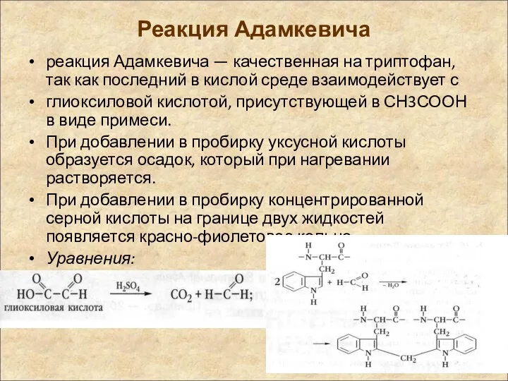 Реакция Адамкевича реакция Адамкевича — качествен­ная на триптофан, так как