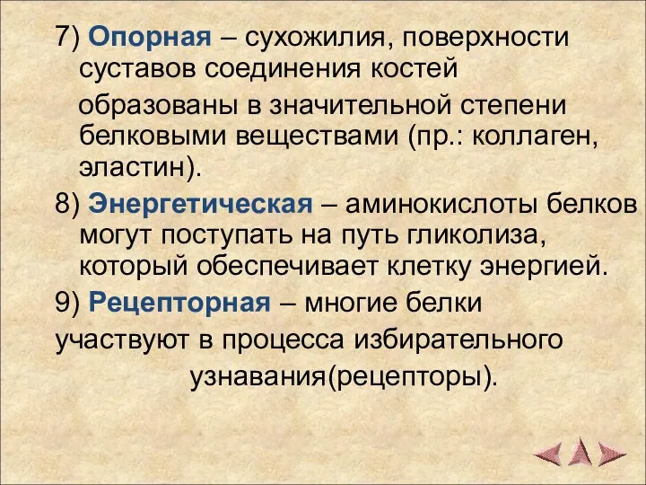 7) Опорная – сухожилия, поверхности суставов соединения костей образованы в