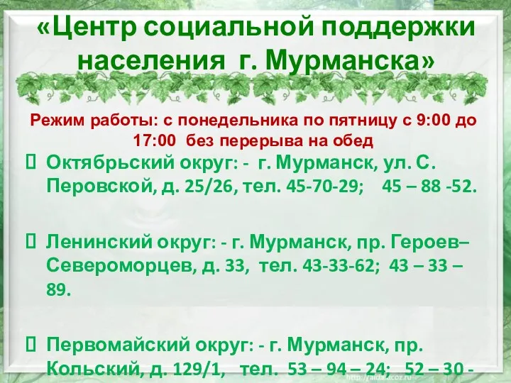 «Центр социальной поддержки населения г. Мурманска» Октябрьский округ: - г.