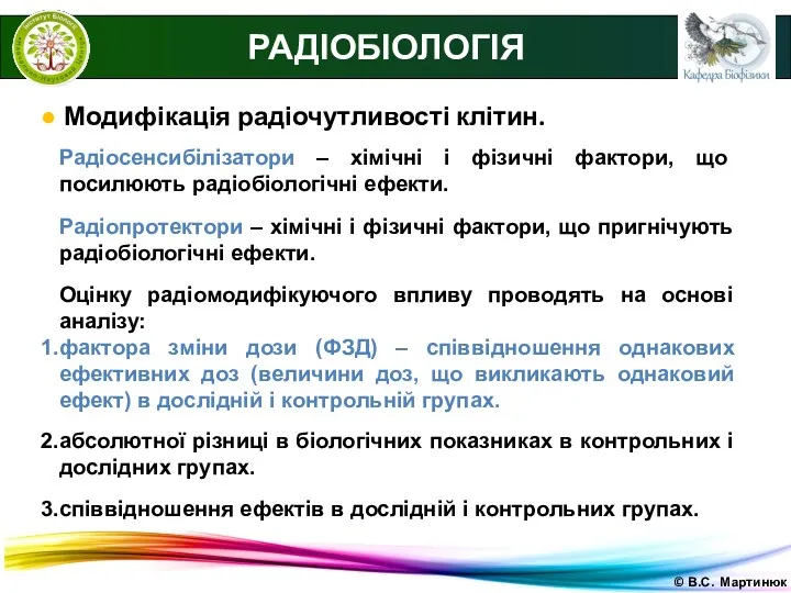 © В.С. Мартинюк РАДІОБІОЛОГІЯ ● Модифікація радіочутливості клітин. Радіосенсибілізатори –