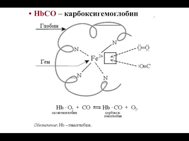 HbСО – карбоксигемоглобин