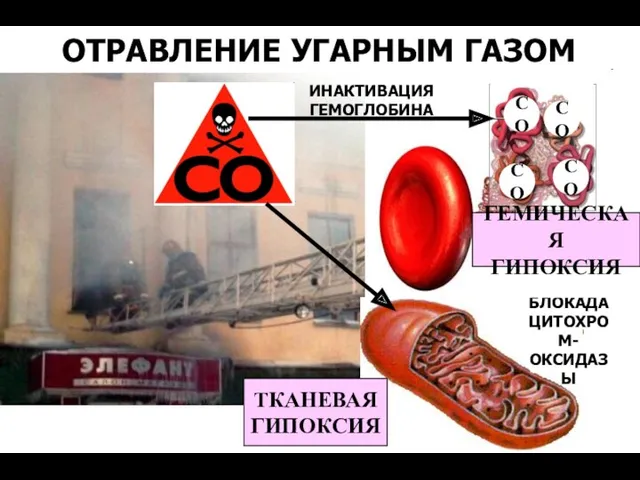 ОТРАВЛЕНИЕ УГАРНЫМ ГАЗОМ СО СО СО СО ТКАНЕВАЯ ГИПОКСИЯ ИНАКТИВАЦИЯ ГЕМОГЛОБИНА БЛОКАДА ЦИТОХРОМ- ОКСИДАЗЫ ГЕМИЧЕСКАЯ ГИПОКСИЯ