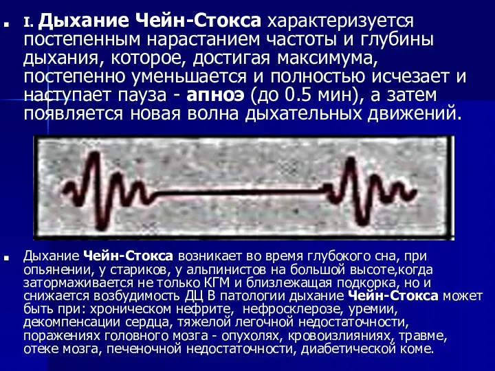 I. Дыхание Чейн-Стокса характеризуется постепенным нарастанием частоты и глубины дыхания,