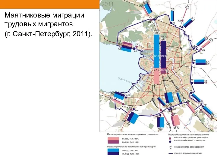 Маятниковые миграции трудовых мигрантов (г. Санкт-Петербург, 2011).