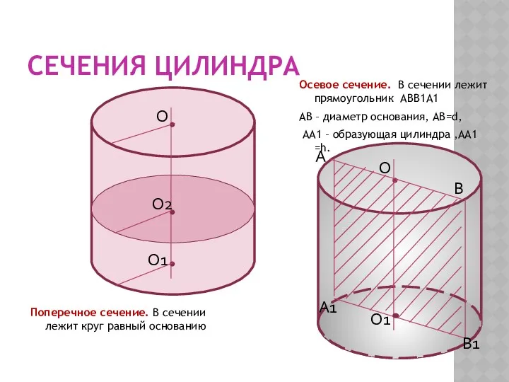 СЕЧЕНИЯ ЦИЛИНДРА Поперечное сечение. В сечении лежит круг равный основанию