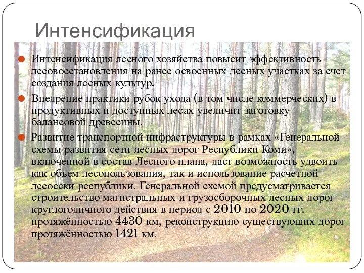 Интенсификация Интенсификация лесного хозяйства повысит эффективность лесовосстановления на ранее освоенных