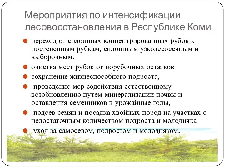 Мероприятия по интенсификации лесовосстановления в Республике Коми переход от сплошных