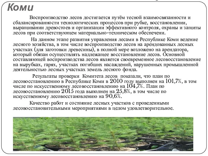 Лесовосстановление в Республике Коми Воспроизводство лесов достигается путём тесной взаимосвязанности