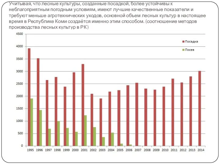 Учитывая, что лесные культуры, созданные посадкой, более устойчивы к неблагоприятным