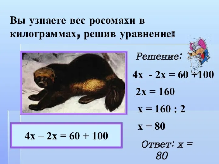Вы узнаете вес росомахи в килограммах, решив уравнение: 4х –