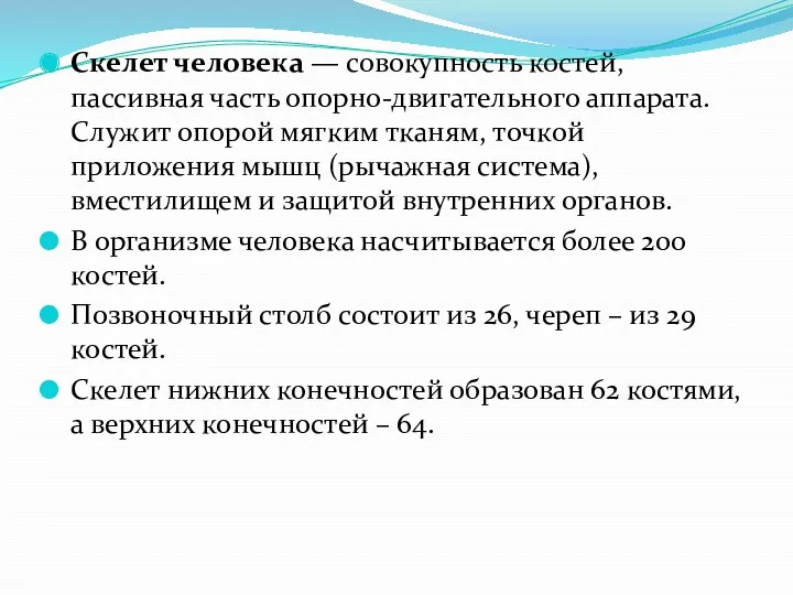 Скелет человека — совокупность костей, пассивная часть опорно-двигательного аппарата. Служит