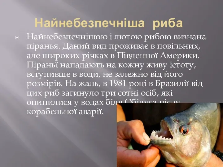 Найнебезпечніша риба Найнебезпечнішою і лютою рибою визнана піранья. Даний вид