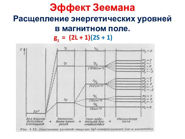 Эффект Зеемана Расщепление энергетических уровней в магнитном поле. gJ = (2L + 1)(2S + 1)