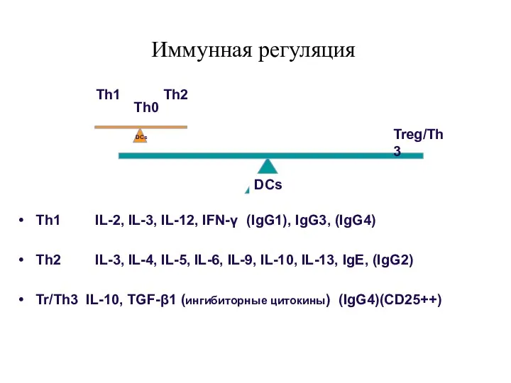 Th1 IL-2, IL-3, IL-12, IFN-γ (IgG1), IgG3, (IgG4) Th2 IL-3,