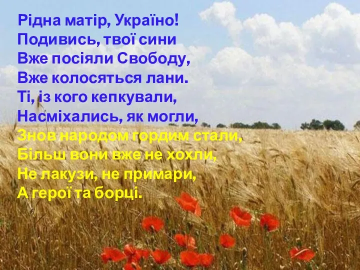 Рідна матір, Україно! Подивись, твої сини Вже посіяли Свободу, Вже