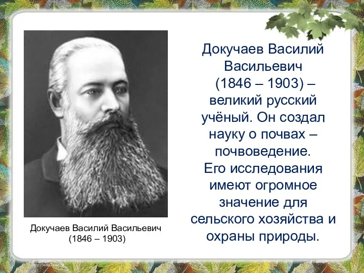 Докучаев Василий Васильевич (1846 – 1903) – великий русский учёный.