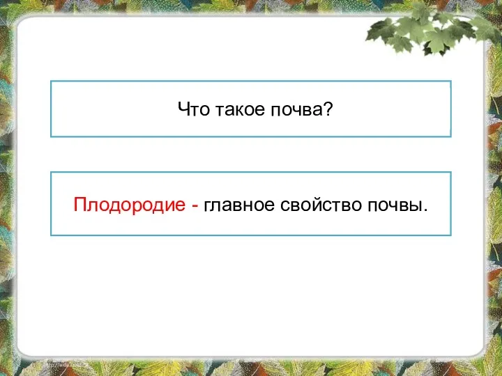 Почва – это верхний плодородный слой земли. Что такое почва?