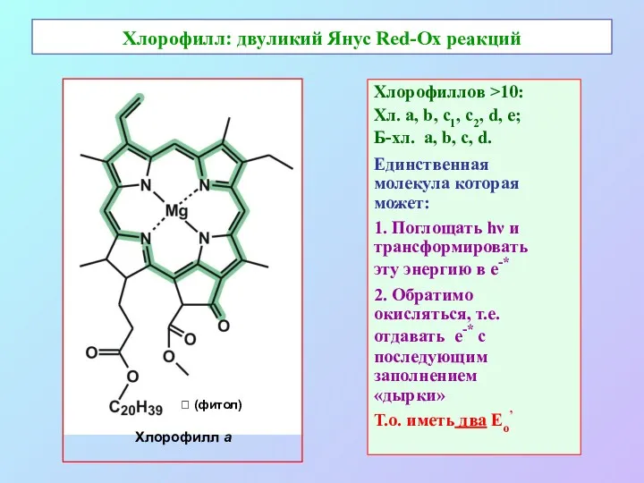 Хлорофилл: двуликий Янус Red-Ox реакций Хлорофиллов >10: Хл. а, b,